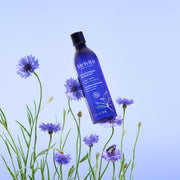 Eau florale de bleuet bio