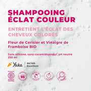 Shampoing gloss brillance
