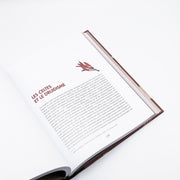Livre ma bible du chamanisme
